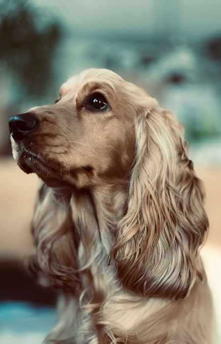 tommy-spfw5bhYcIU-unsplash tommy-spfw5bhYcIU-unsplash